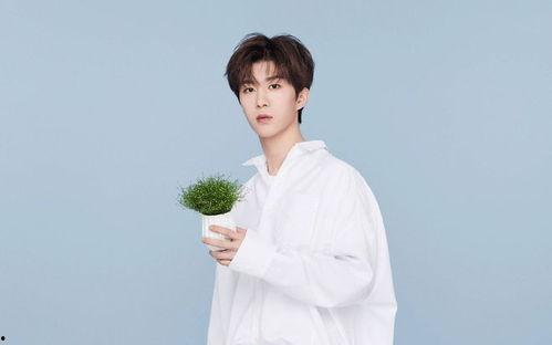 圈内大爆料鞠婧祎范丞丞,神秘恋情引热议 第1张 圈内大爆料鞠婧祎范丞丞,神秘恋情引热议 第1张